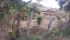 WhatsApp Image 2025-03-11 at 16.17.52 (1).jpeg